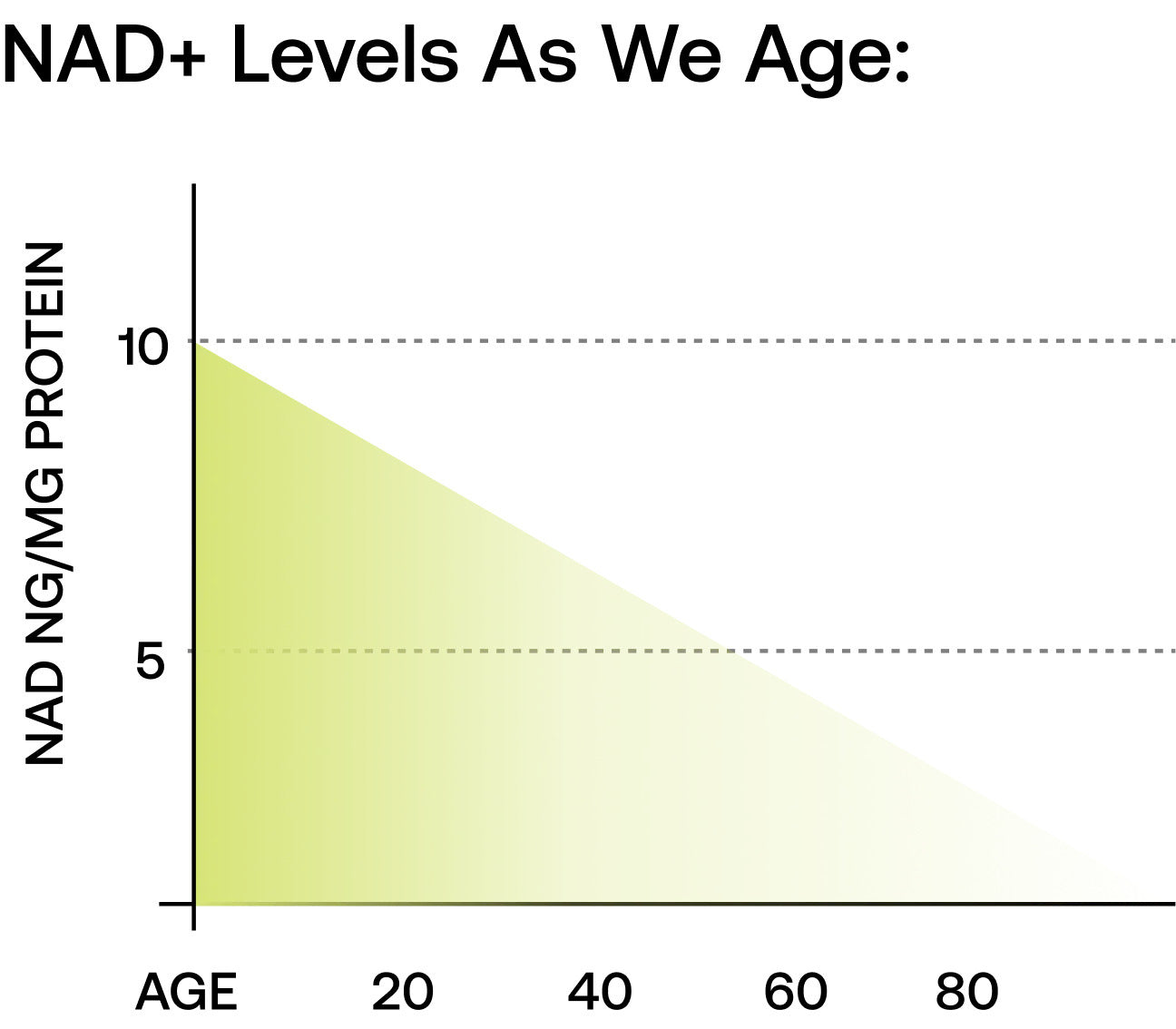 Your Nad+ Levels Drop By 50% After Age 40